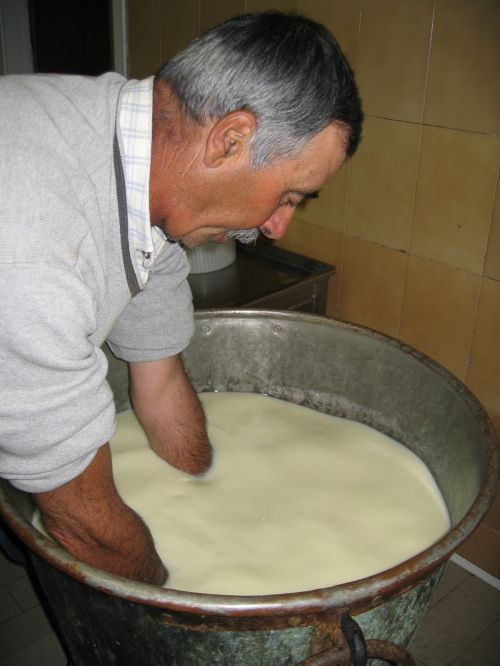scuola di formaggio-30.JPG